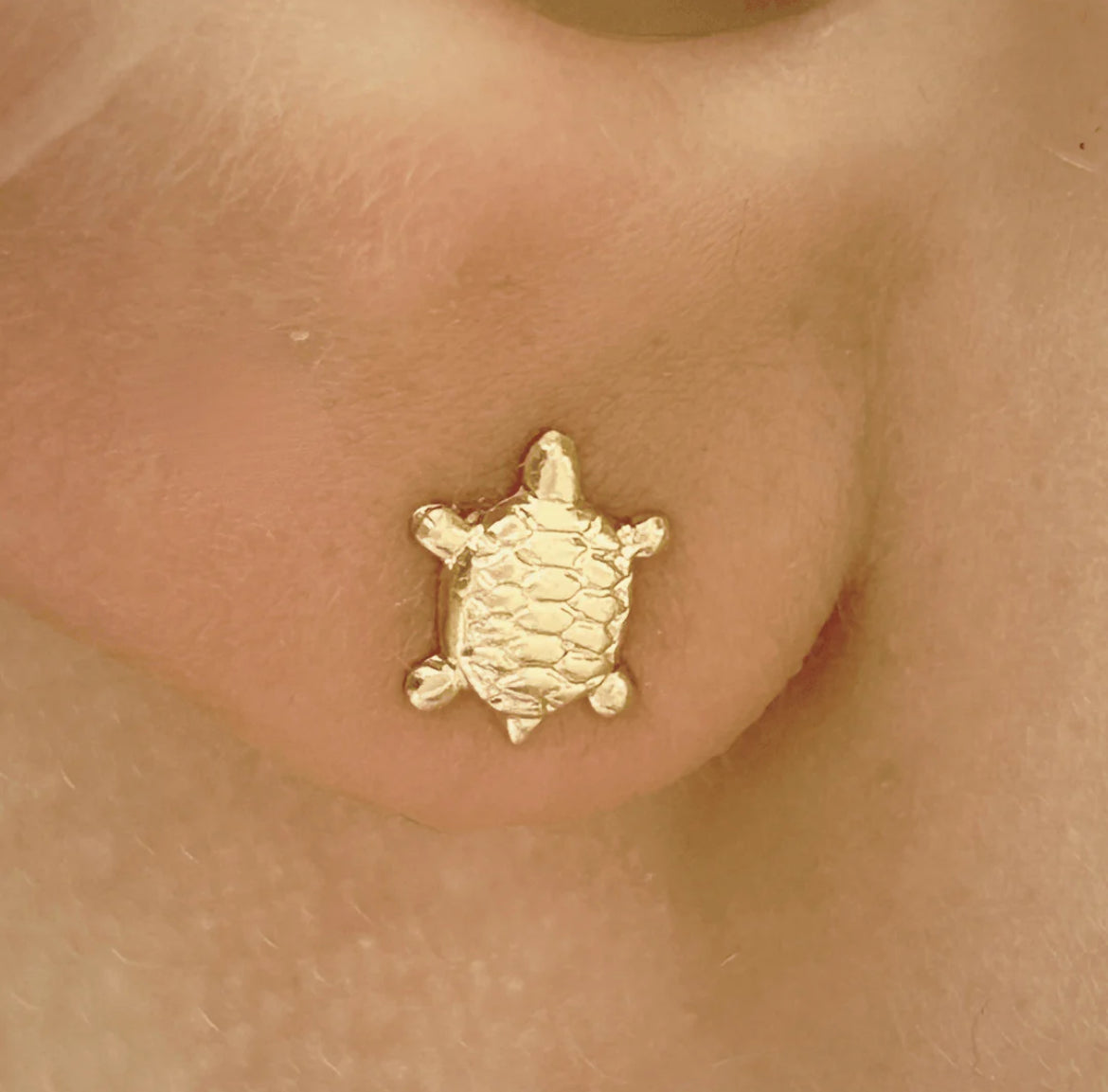 14K Gold Filled Stud-Turtle