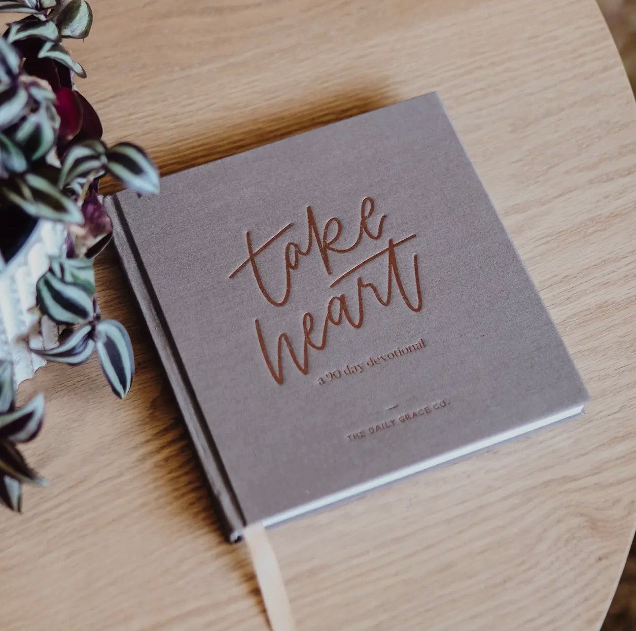 Take Heart - A 90 Day Devotional