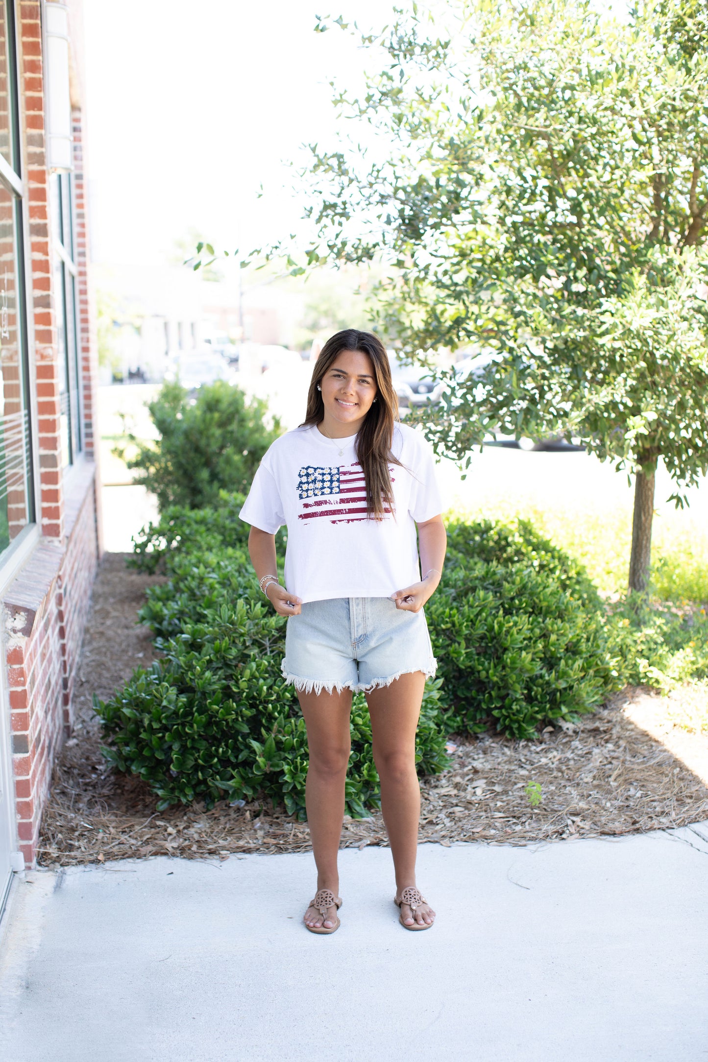 Blaire American Stripes and Daisies Graphic Tee