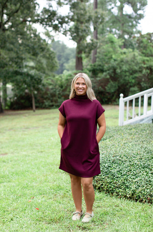Wine Mock Neck Dress