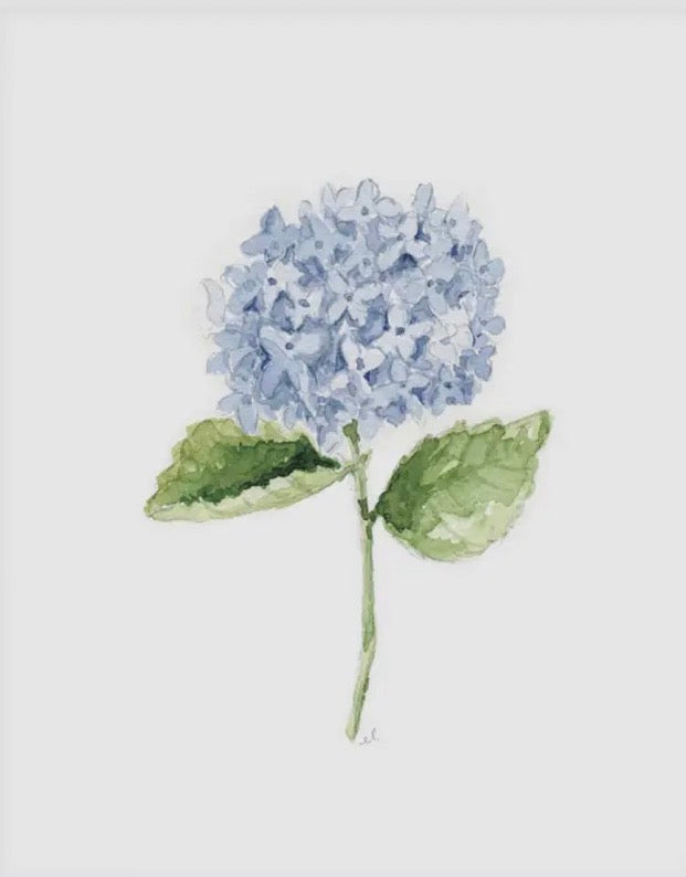 Hydrangea Stem Art Print
