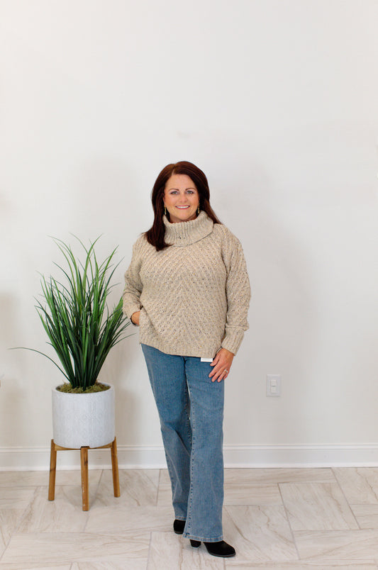 Cowl Neck Oat Diagonal Cable Sweater